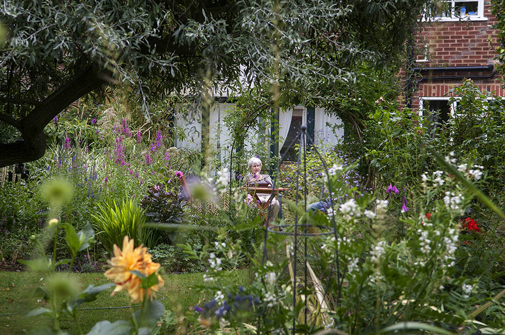 Sussex garden