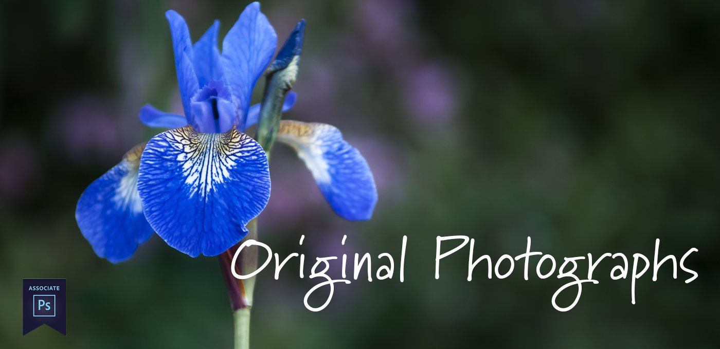 learn still life and product photography